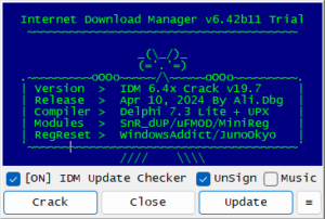 IDM Crack 